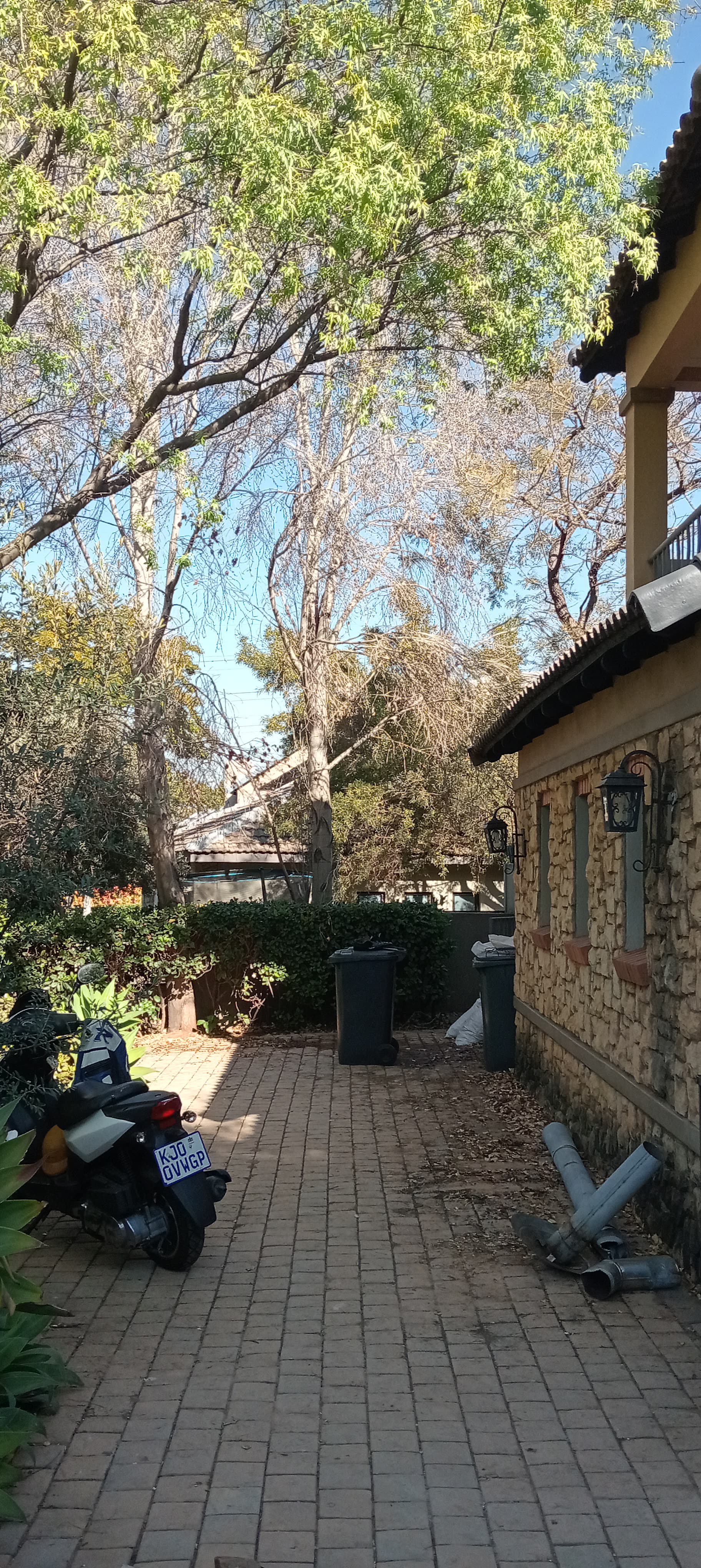 Retief residence - Boardwalk meander photograph 16