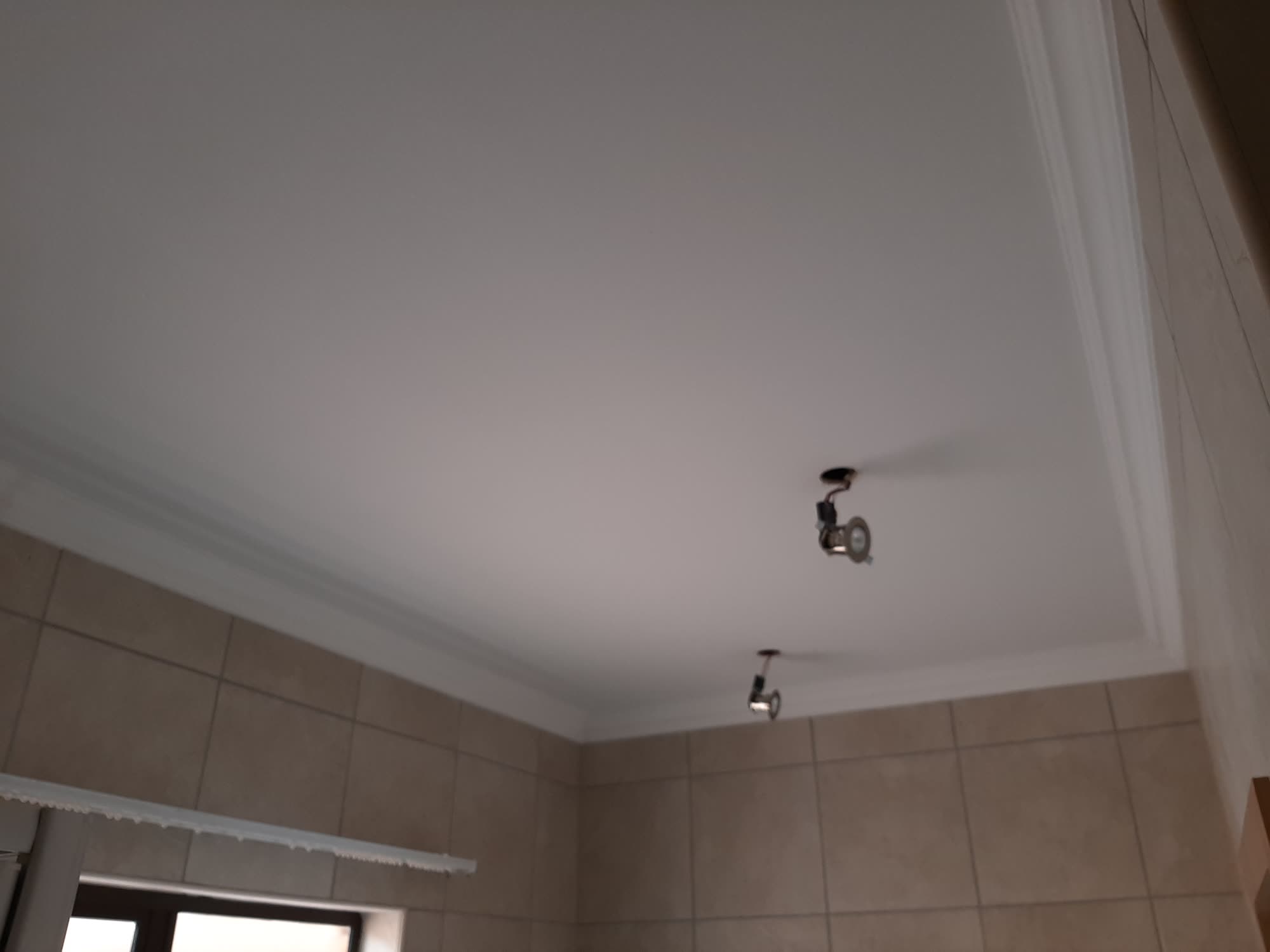 Wapadrand House Painting photograph 20