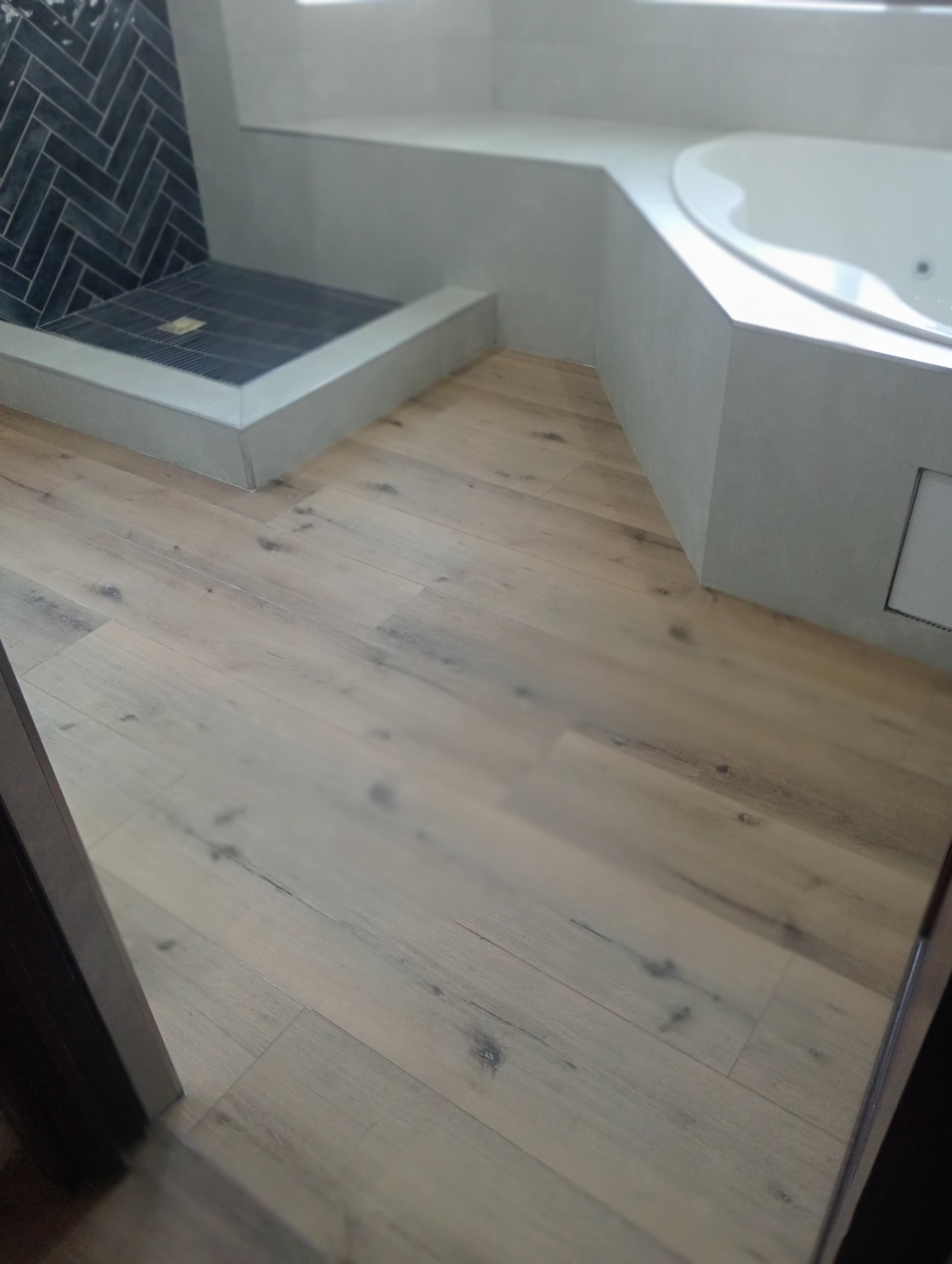 Retief residence - Boardwalk meander photograph 95