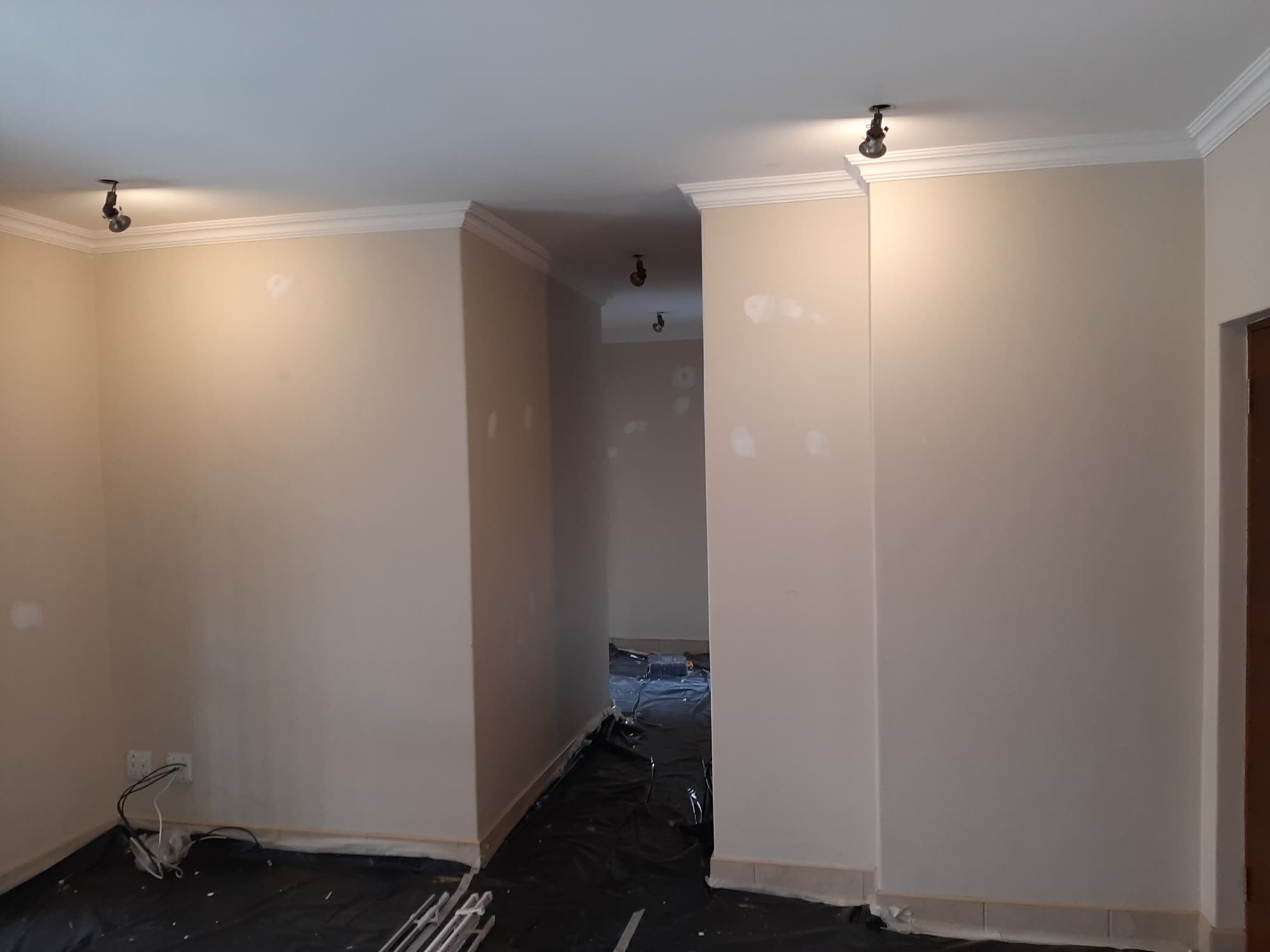 Wapadrand House Painting photograph 12